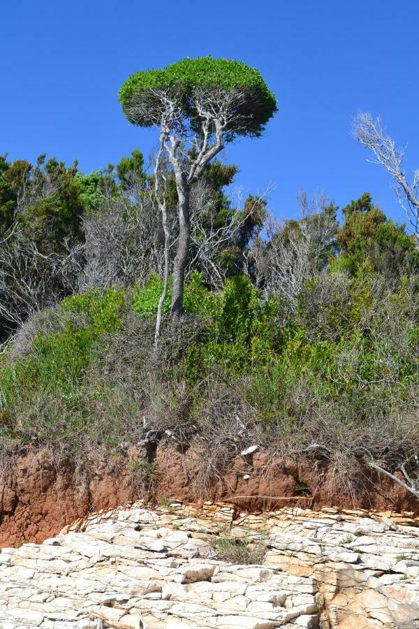 Abba Apartments Mali Losinj Luaran gambar